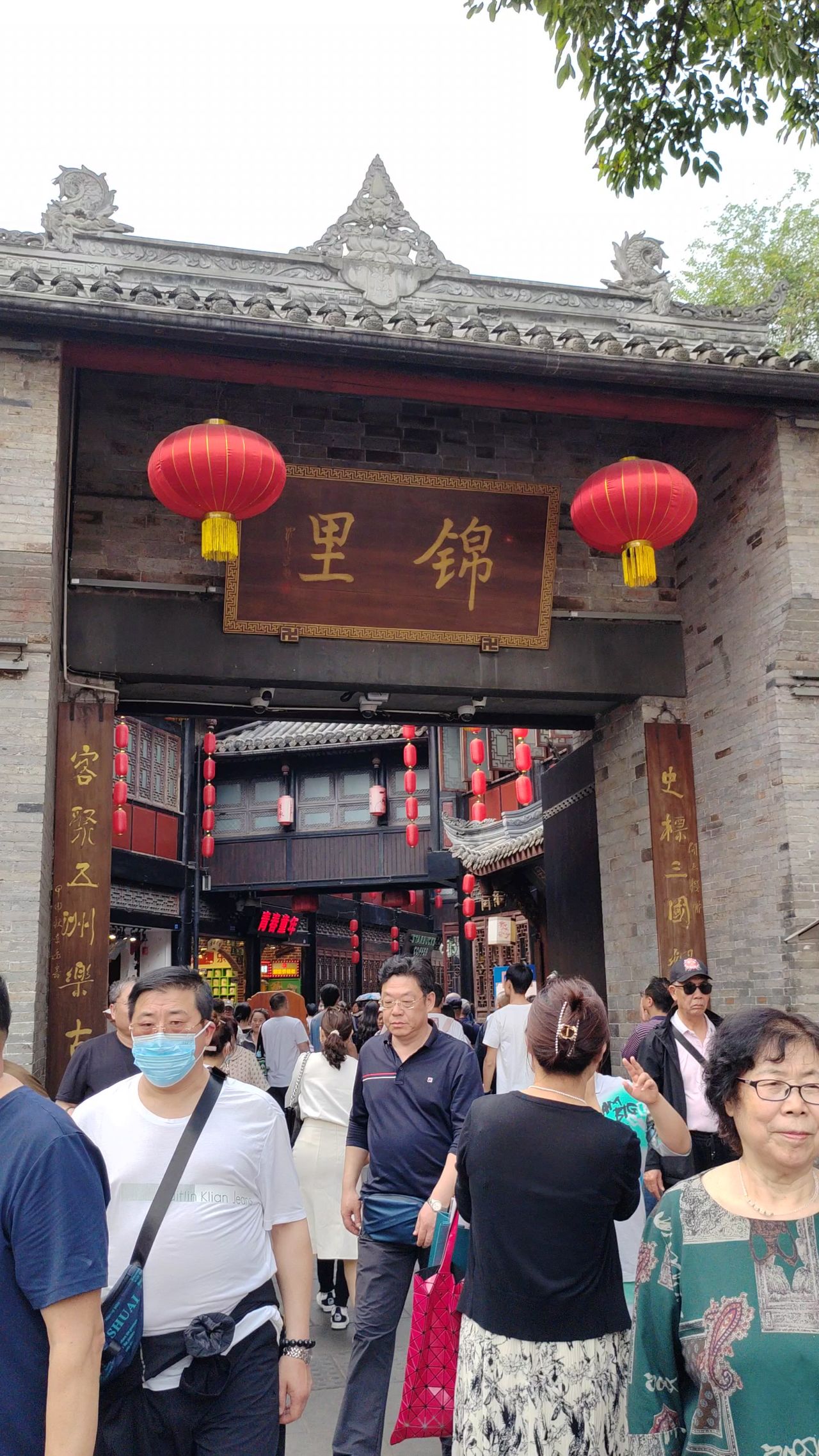 乌龟游水