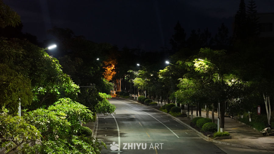 夜色中的城市绿道