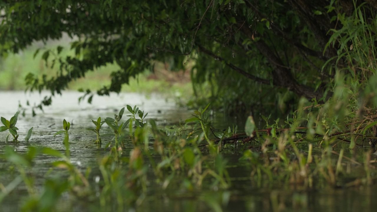 下雨清明谷雨酸雨倾盆大雨蒙蒙细雨 49