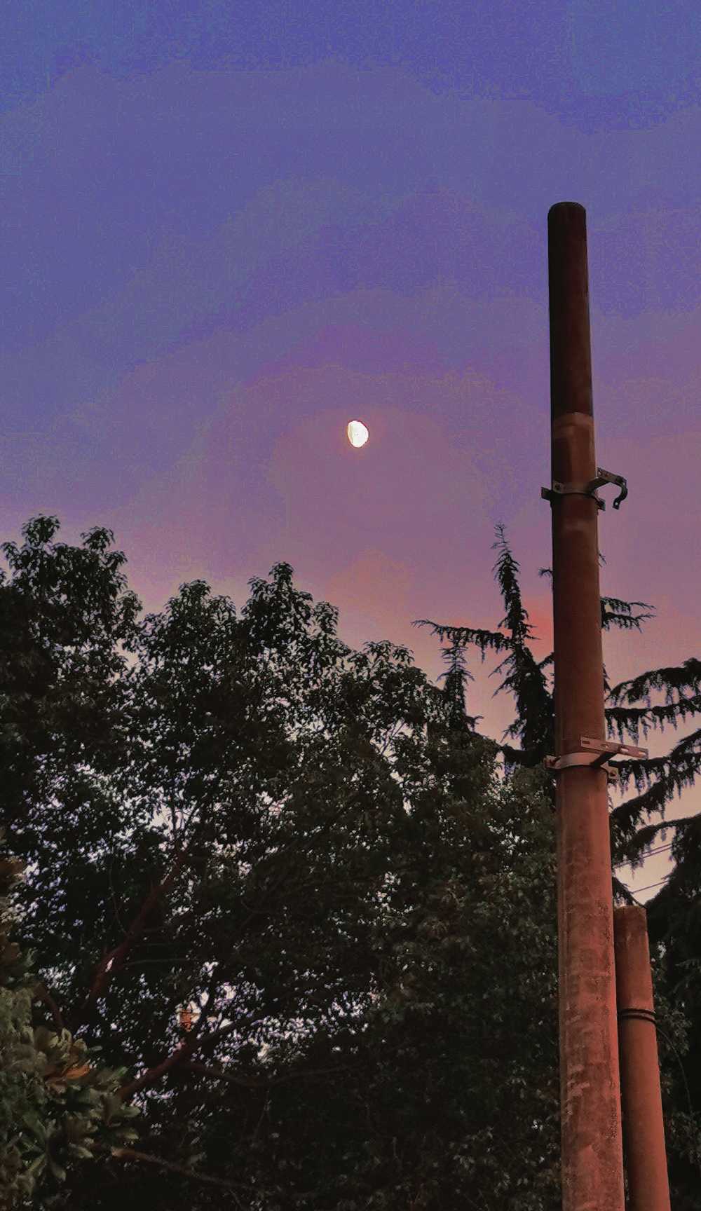 昼夜