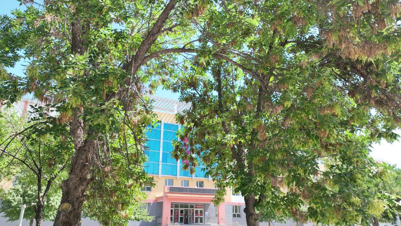 学校教育新时代学生教学 2