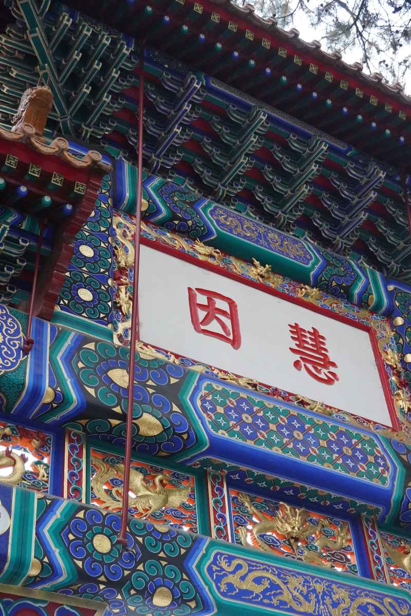 慧因