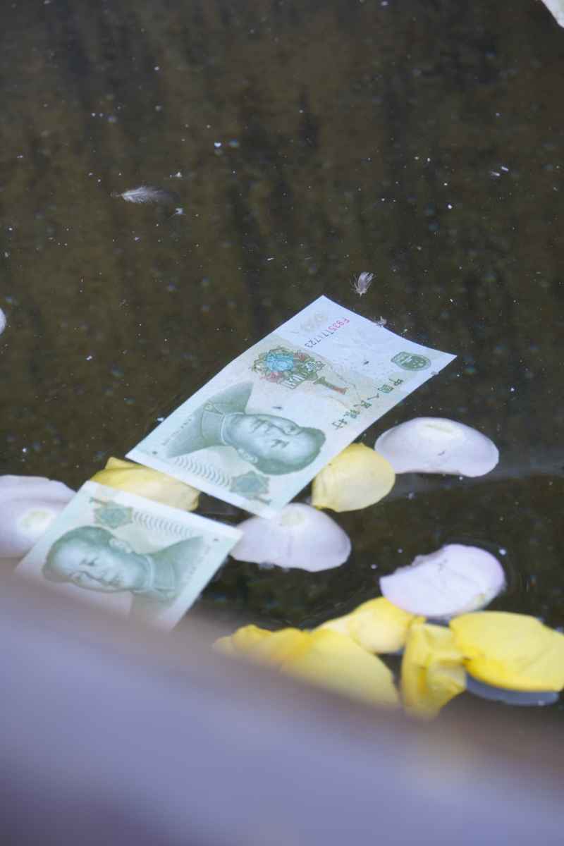 投愿