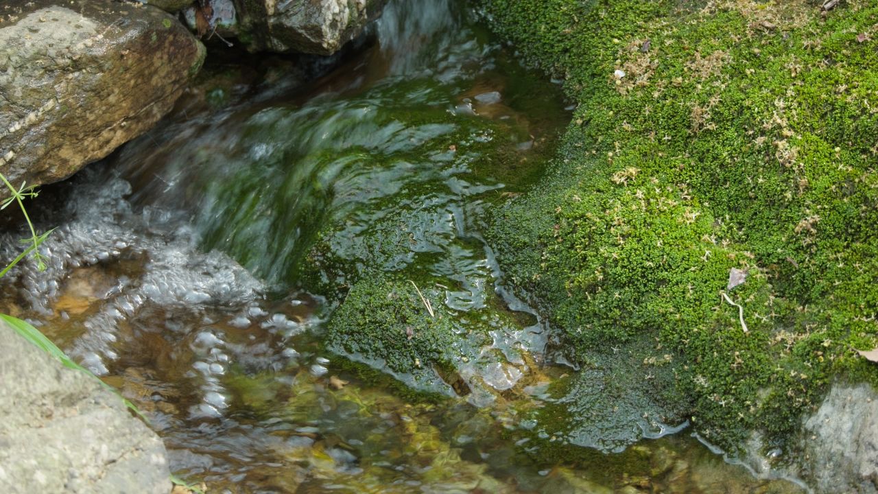 清澈山泉水温泉矿泉水小溪山涧 31