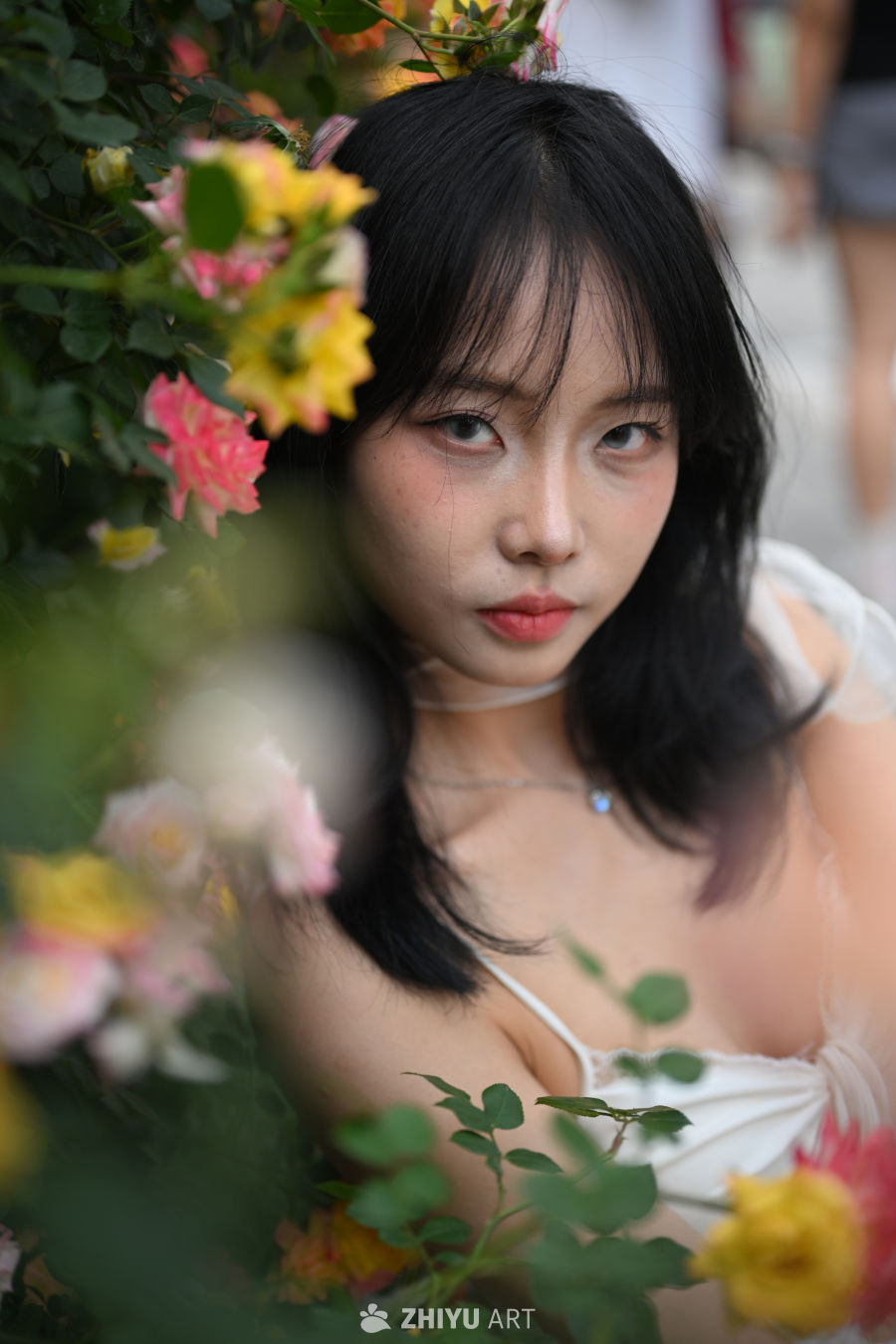 【实拍样片】尼康Z52相机实拍照片 2