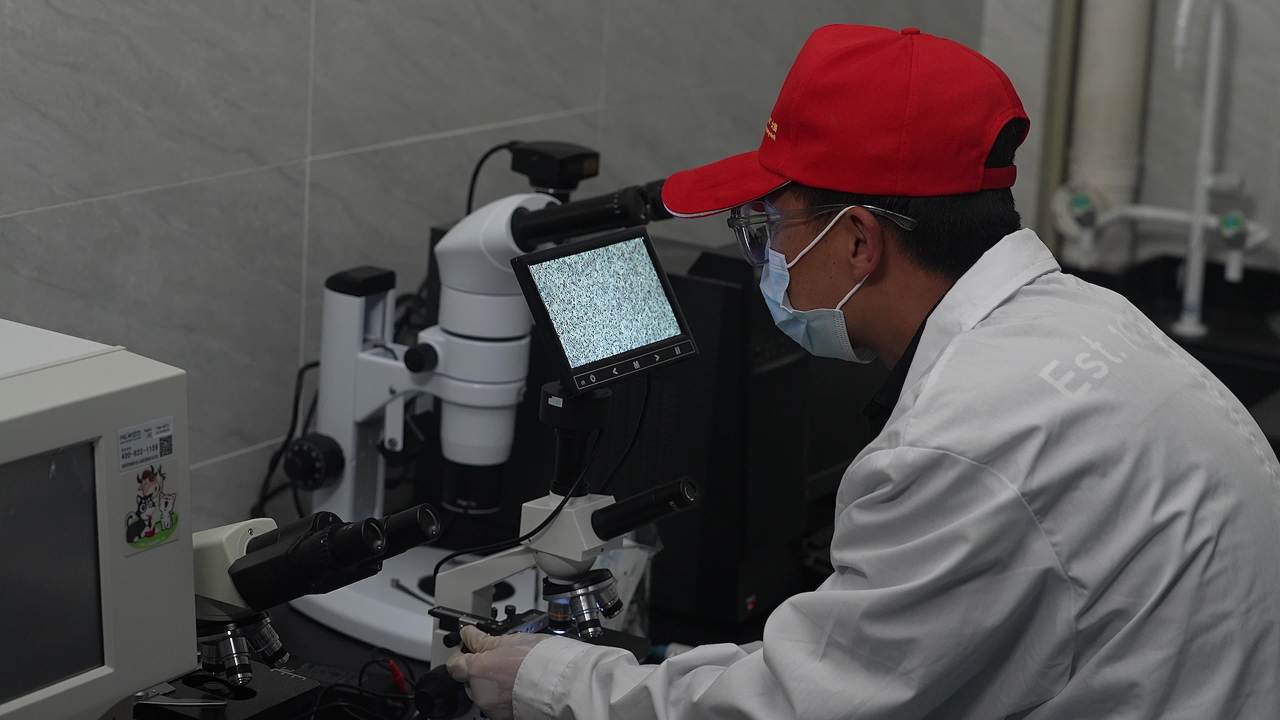 畜牧兽医团队工作记录