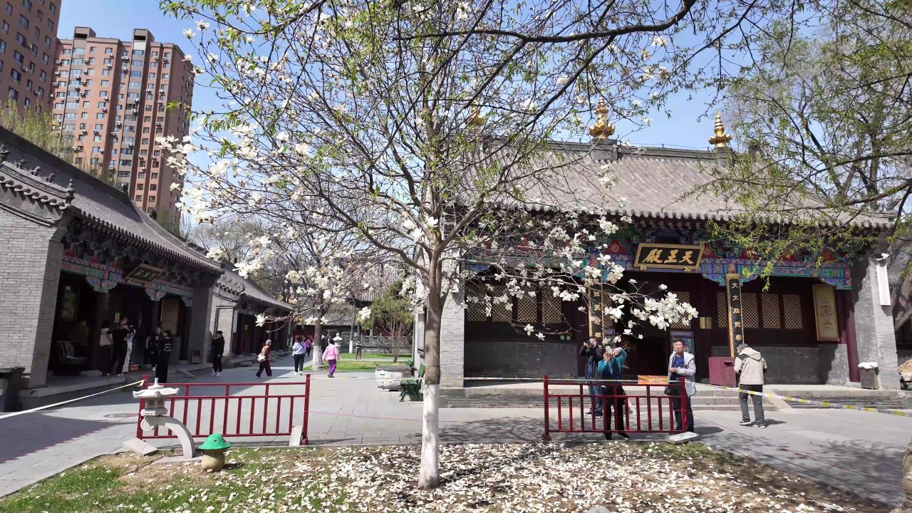 寺庙 喇嘛 藏传佛教 佛教 8
