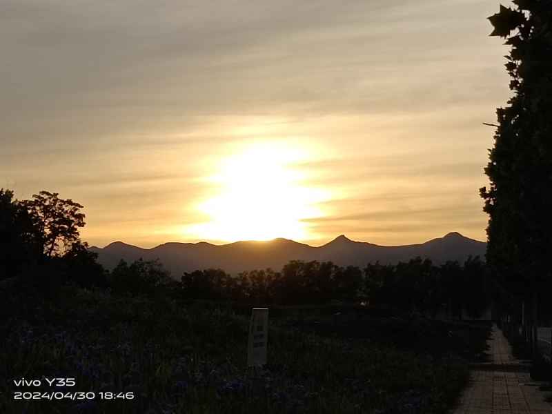 夕阳