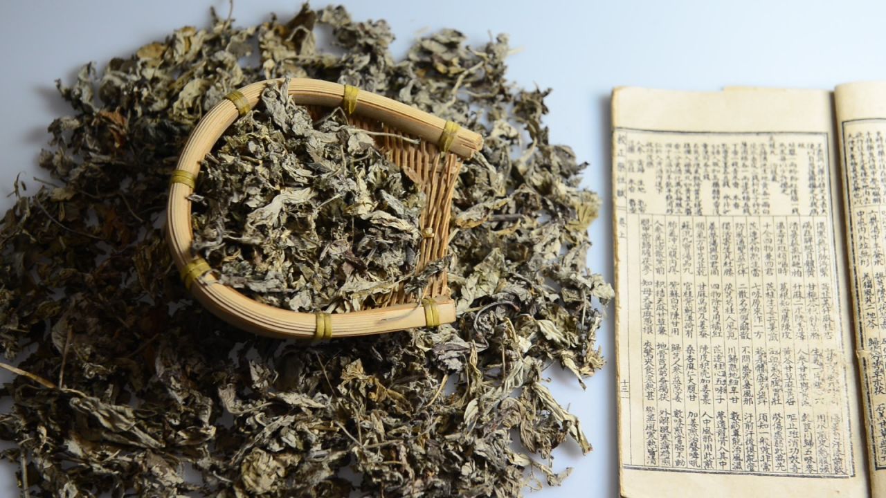 艾叶中草药 5