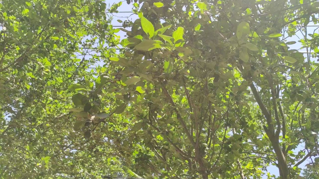 考试