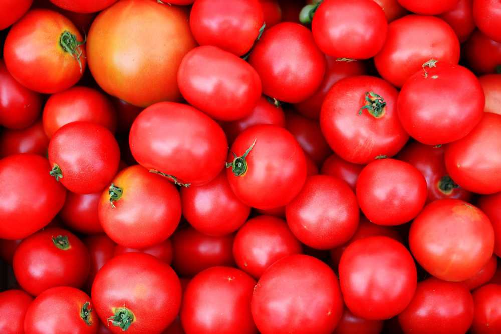 番茄水果蔬菜新鲜