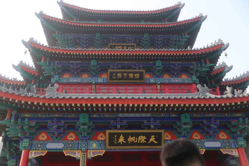 沧州扫街 19