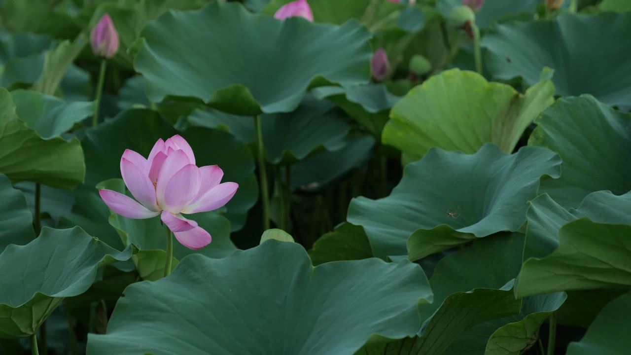 夜色下的城市大桥 10