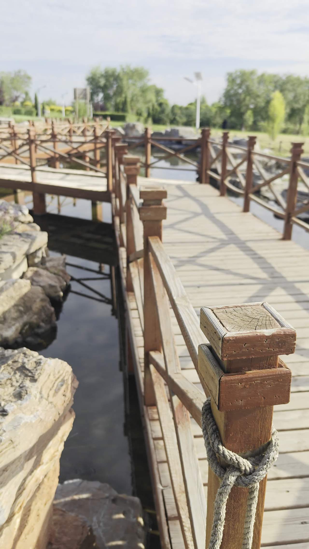 公园景色木栈道水景