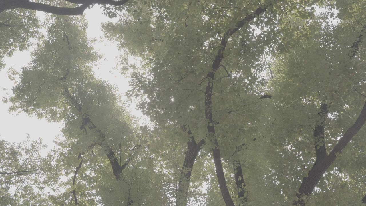 人文 7