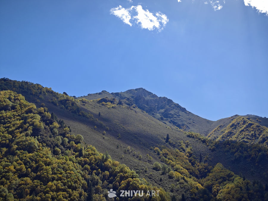 互助北山森林公园