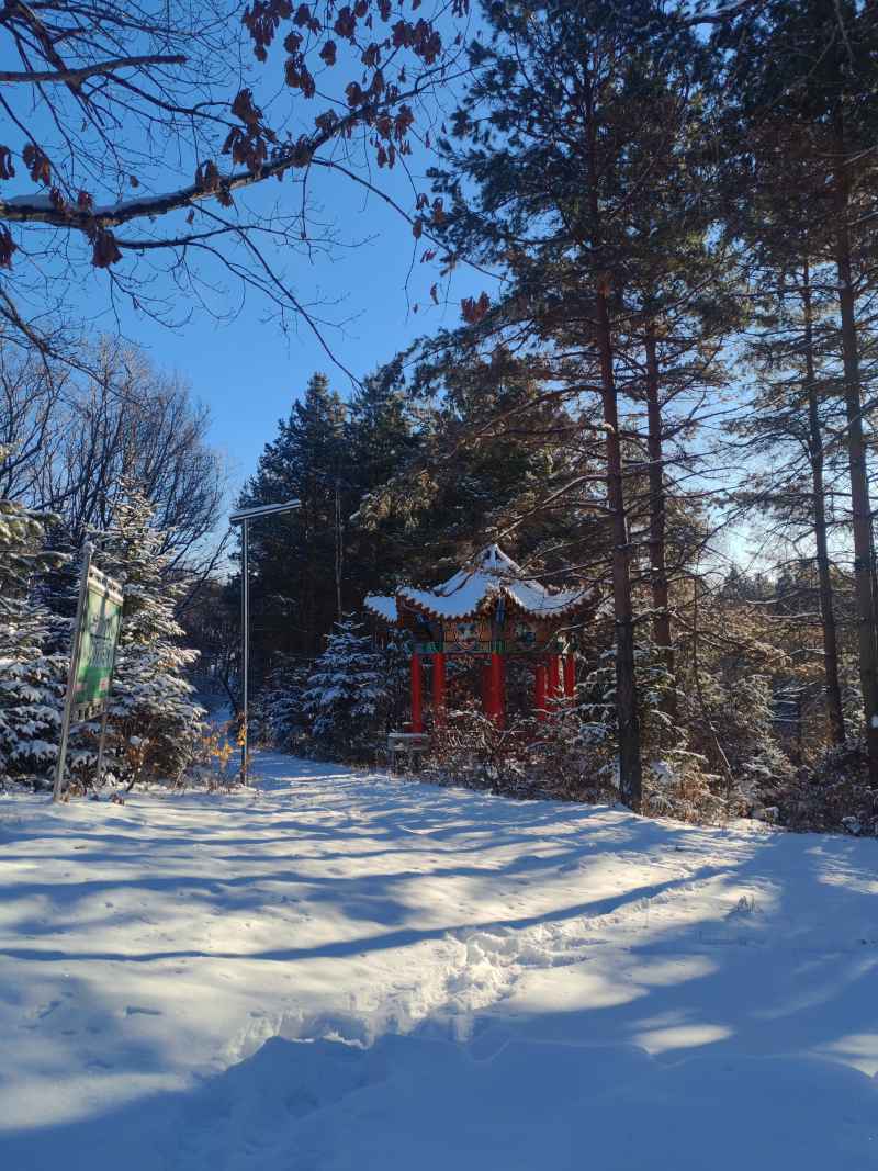 雪景 雪天 冬天 冬季 落雪 下雪 初雪