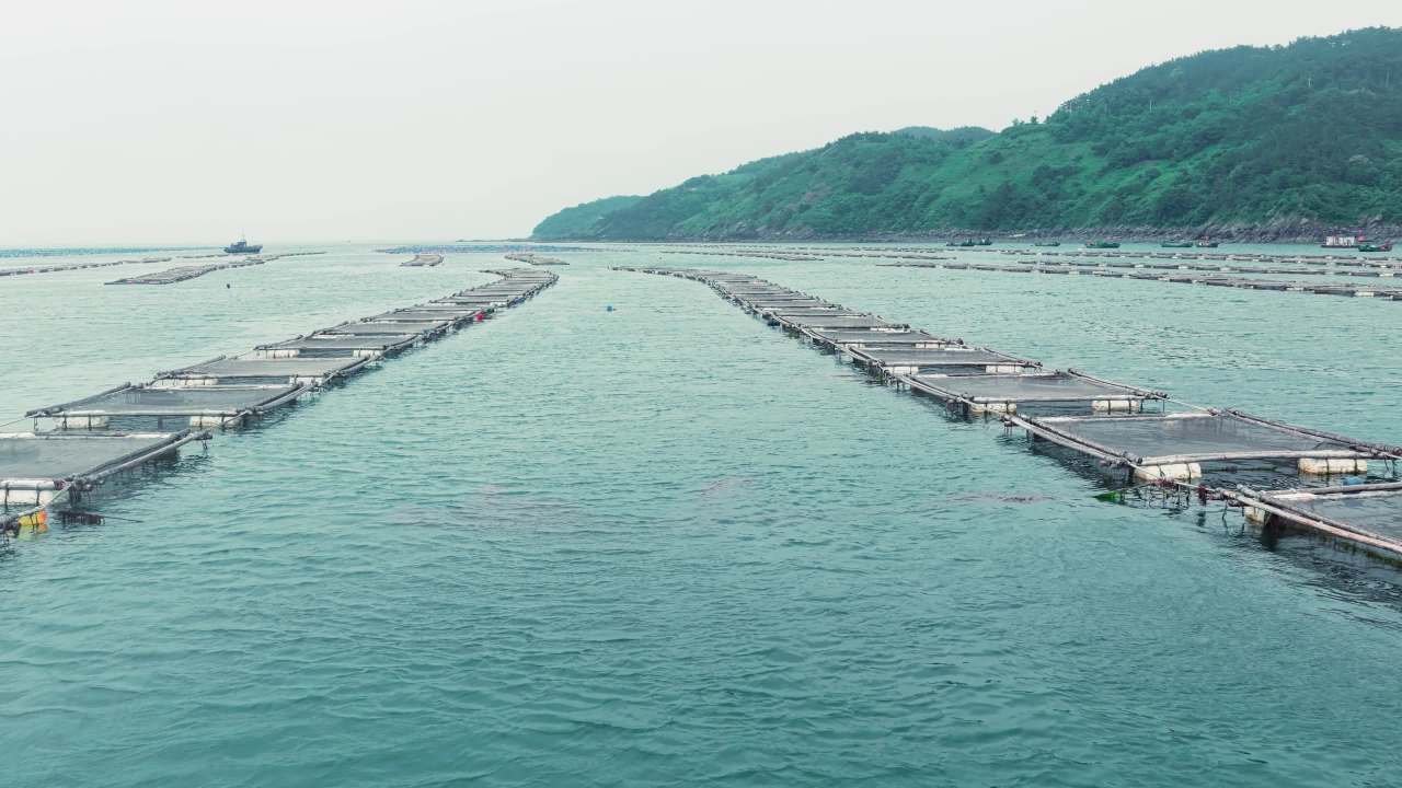 航拍长海岛港口码头