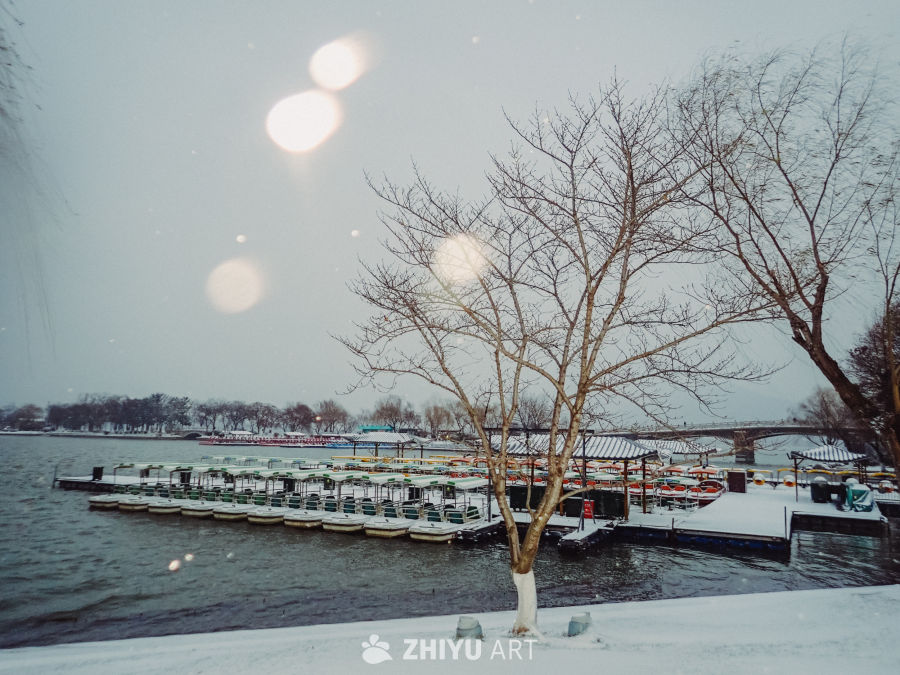 雪中玄武湖