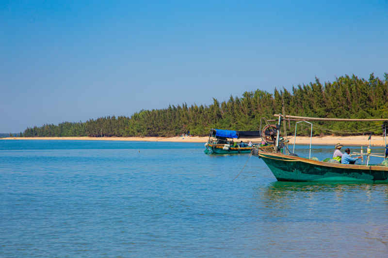 海海海