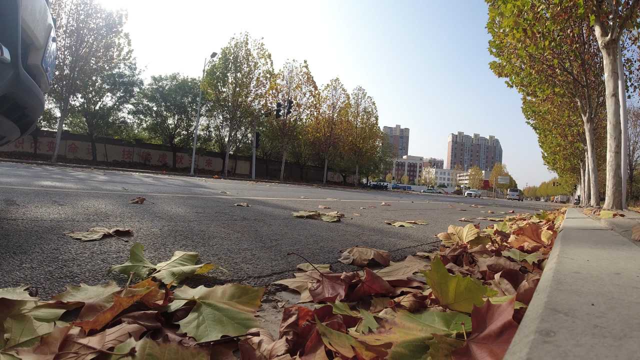 秋日城市街景