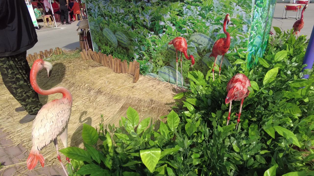 短视频创作者小城市乡村旅游活动记录素材