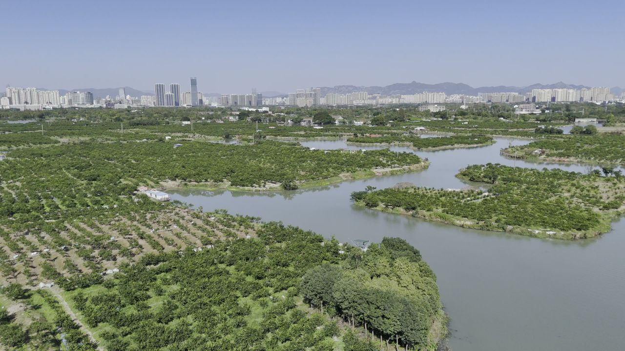 湿地与城市建筑 27