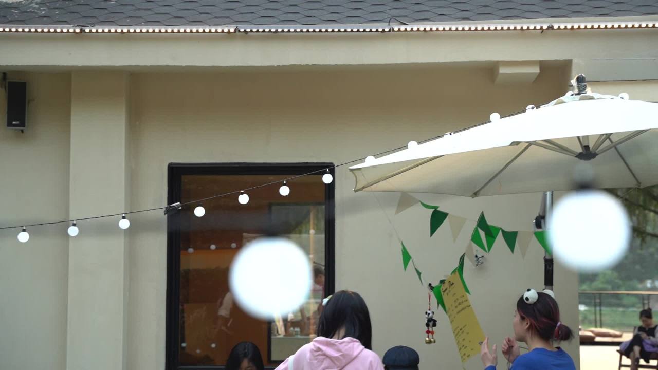 艺术节 2