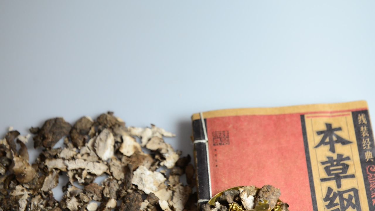 茯苓皮中药材 28