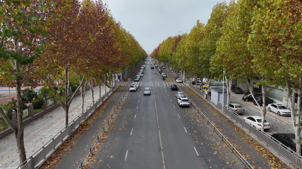 秋日城市街道
