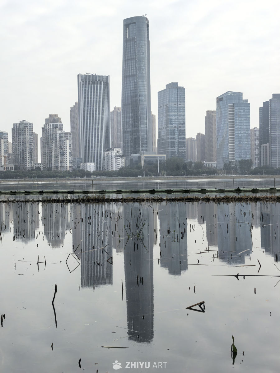 相逢意气为君饮，系马高楼垂柳边