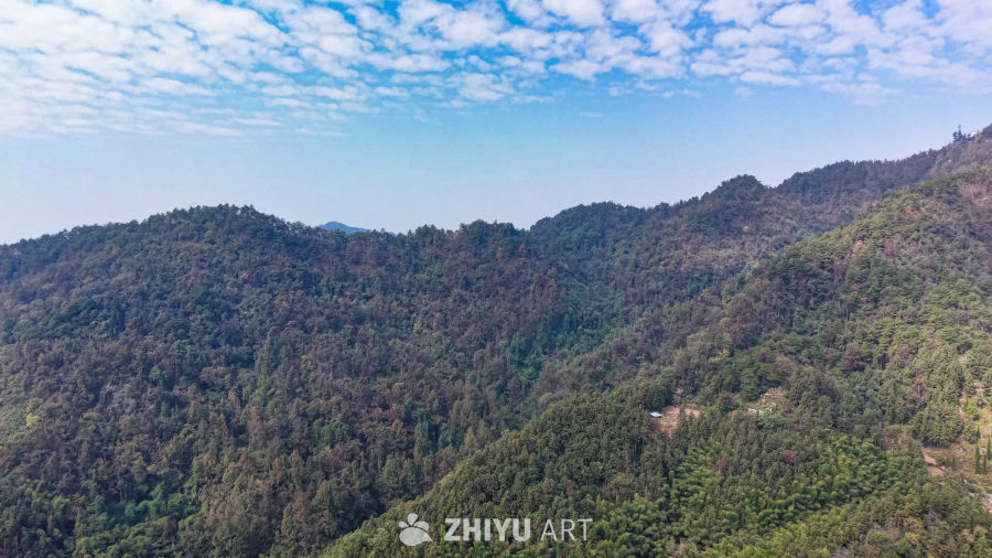 山间绿意盎然的宁静时光