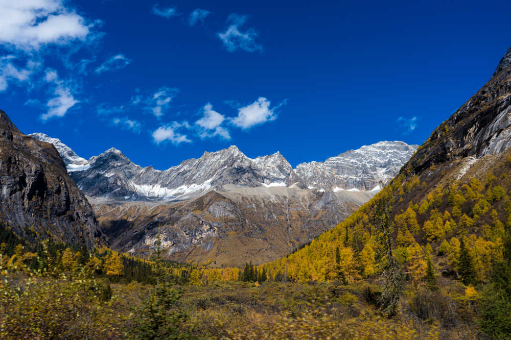 四姑娘山