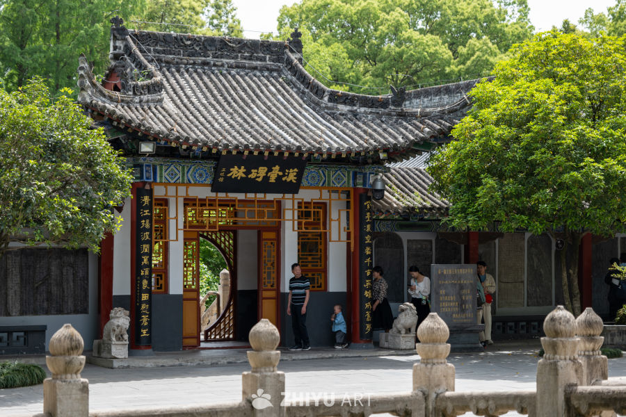 博物馆 16
