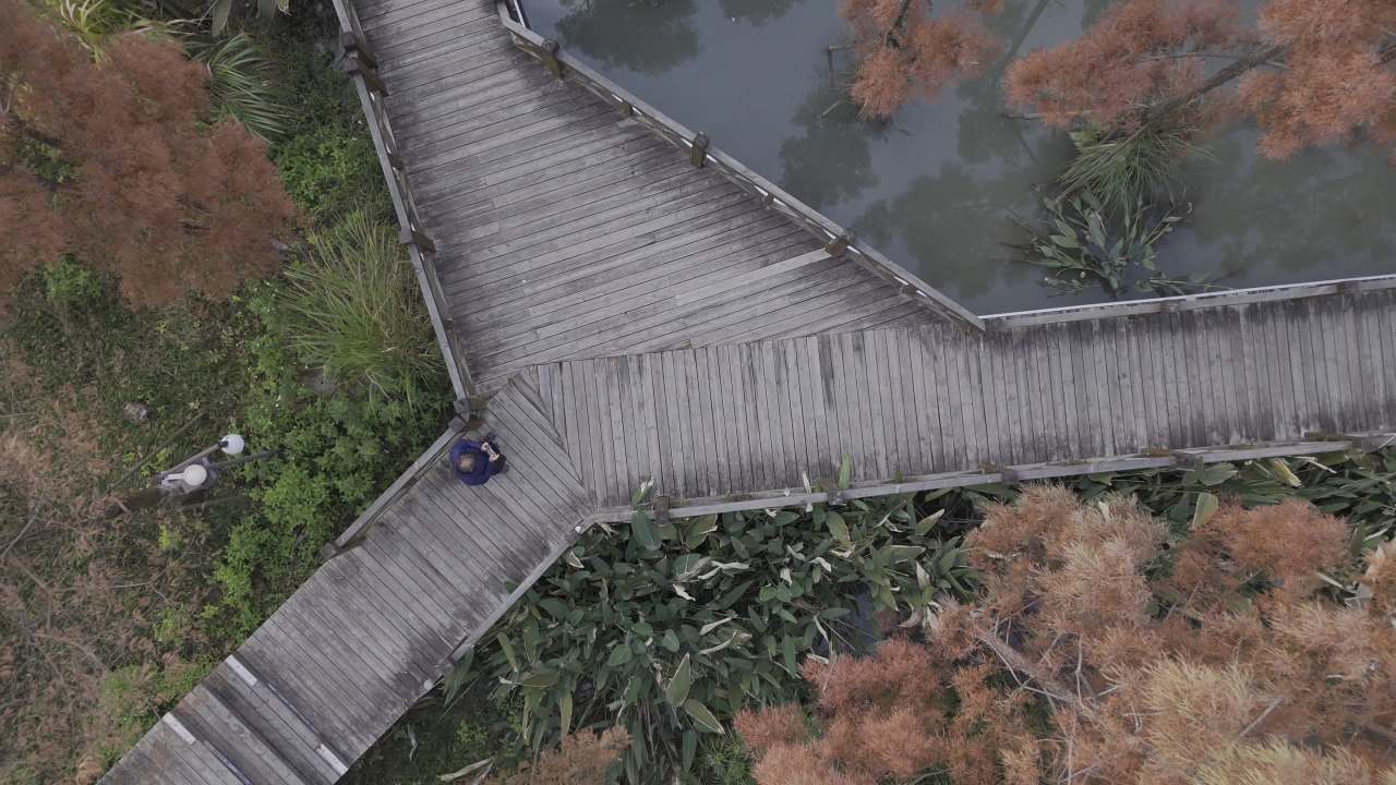 冬日的湿地 13