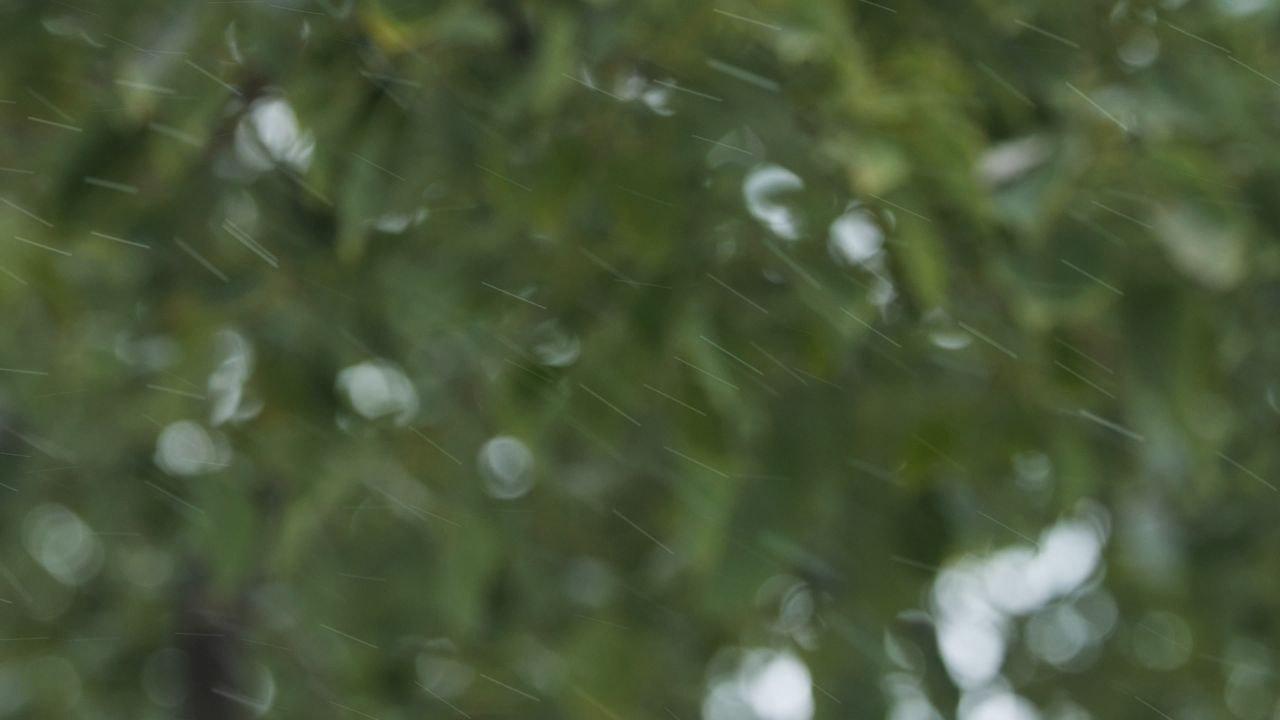 下雨雨点4K实拍