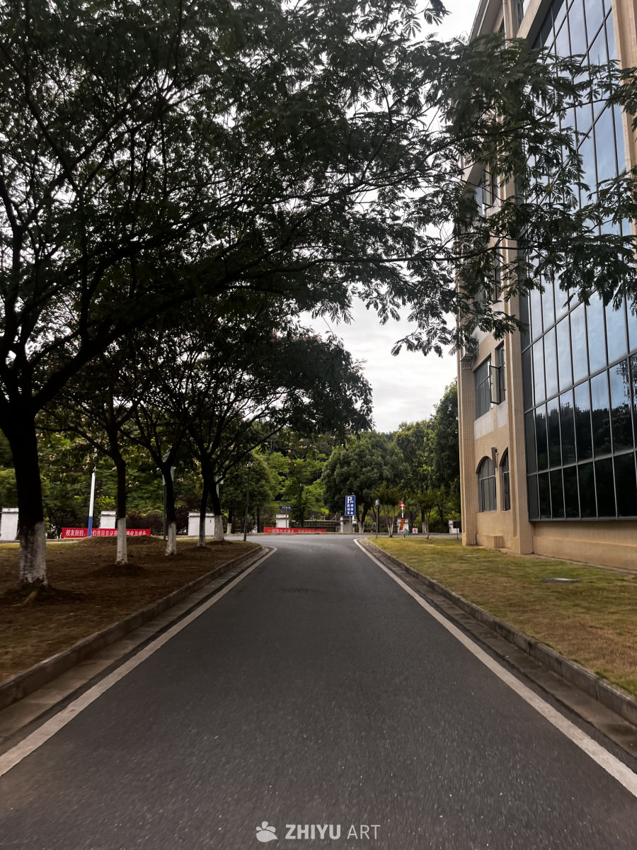 城市绿道与现代建筑