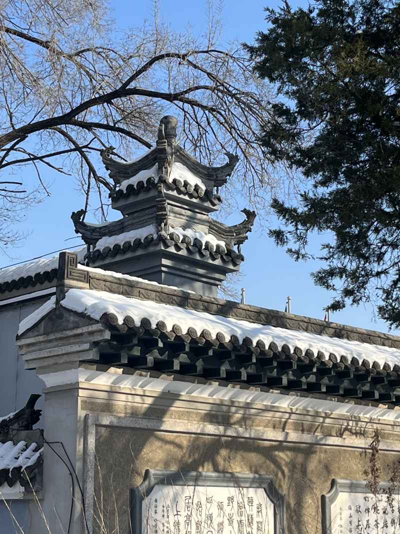 雪下