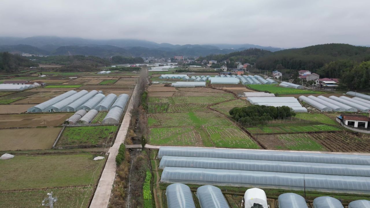 春耕农田农业大棚种植航拍