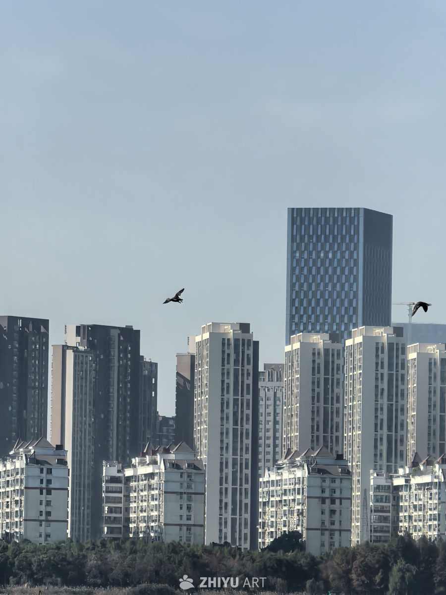 水静万佛湖，风微湖岸幽