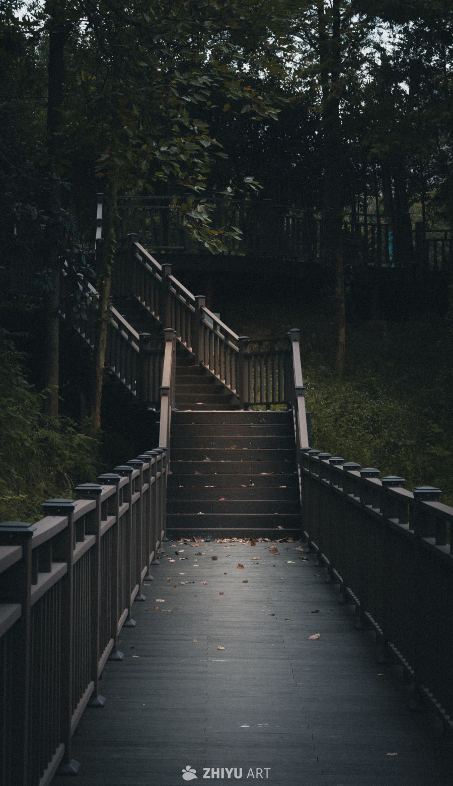 秋日森林的静谧楼梯
