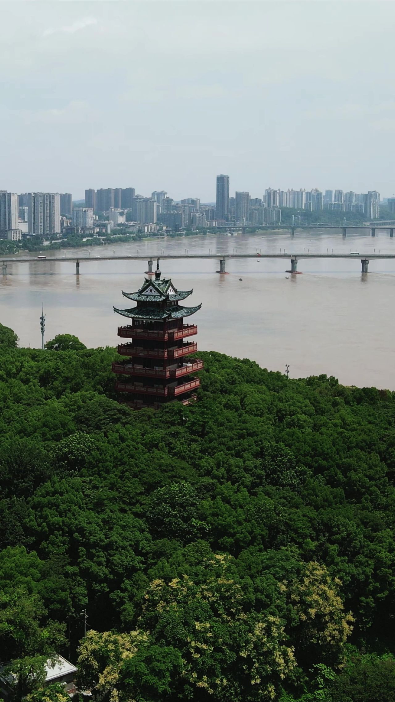航拍株洲神龙塔地标竖屏