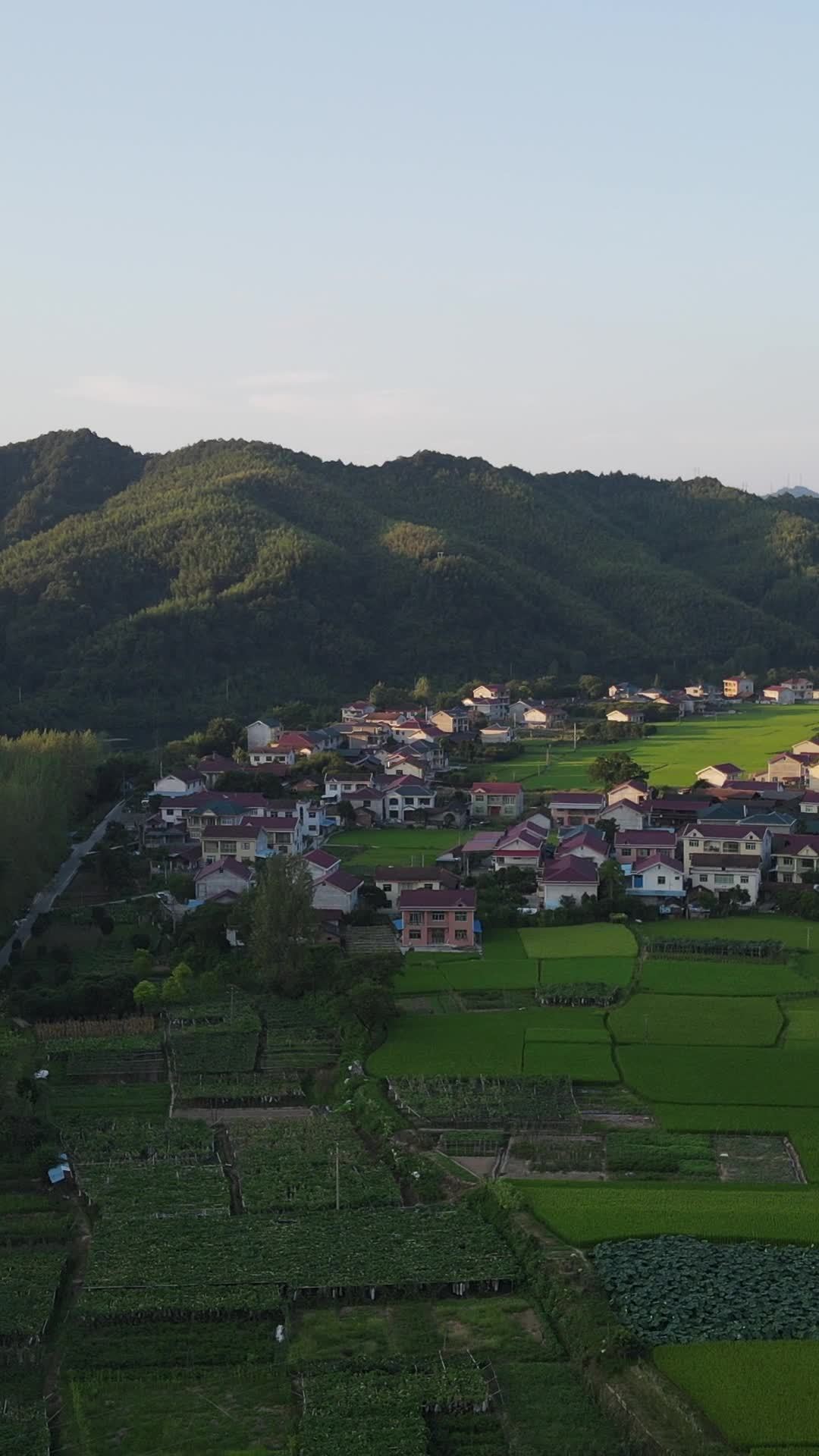 乡村山丘间的宁静生活