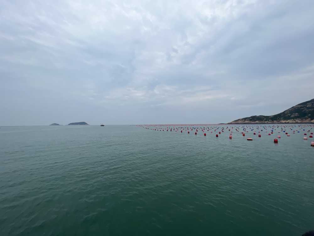 霞浦海上养殖