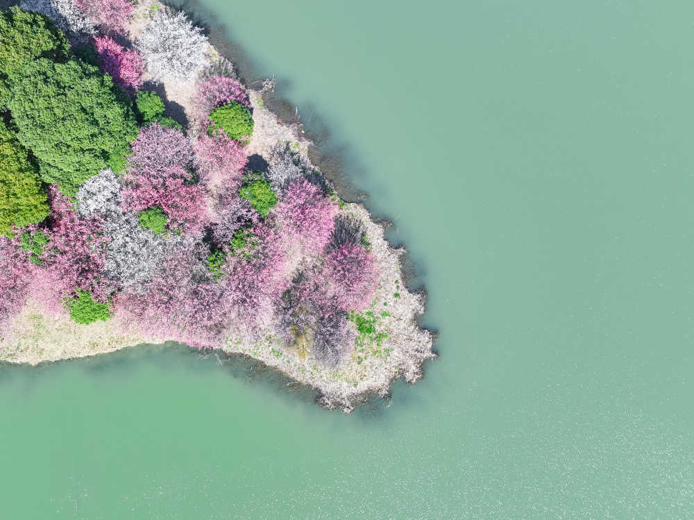 人工小岛