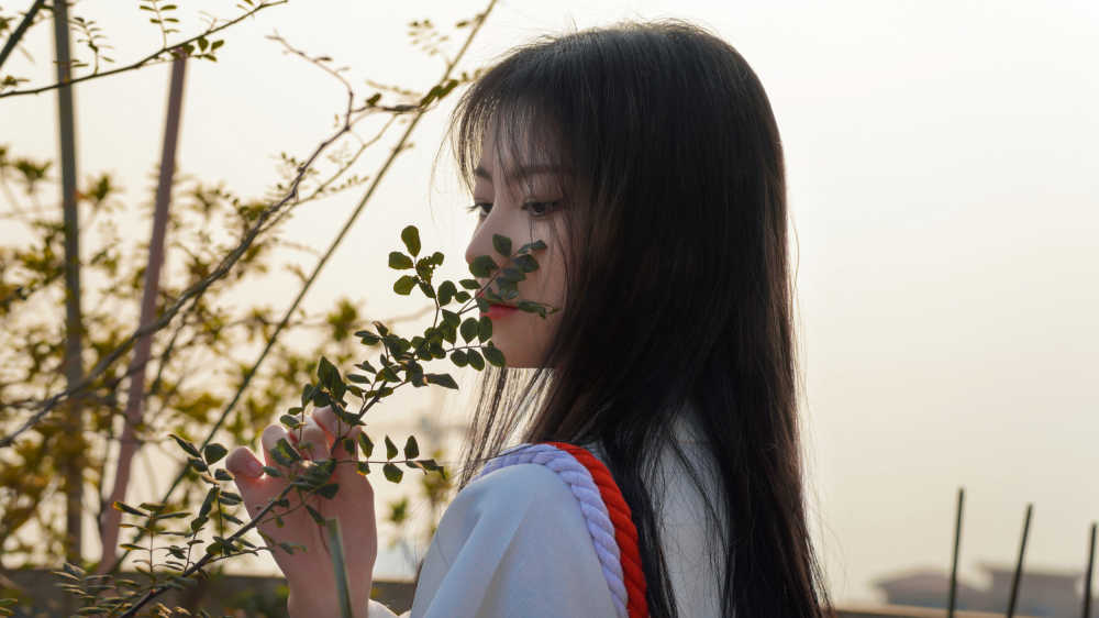 我与神明画押，赌你心动一刹