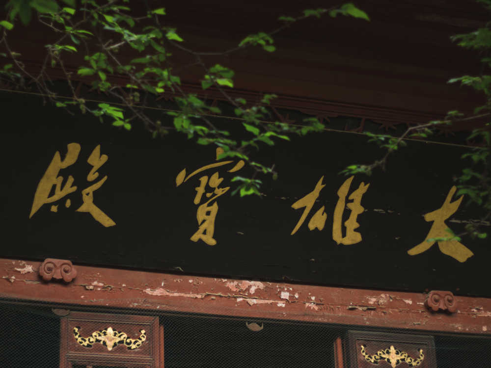 杂