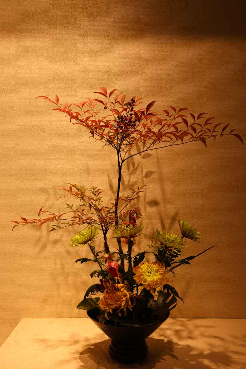 秋花