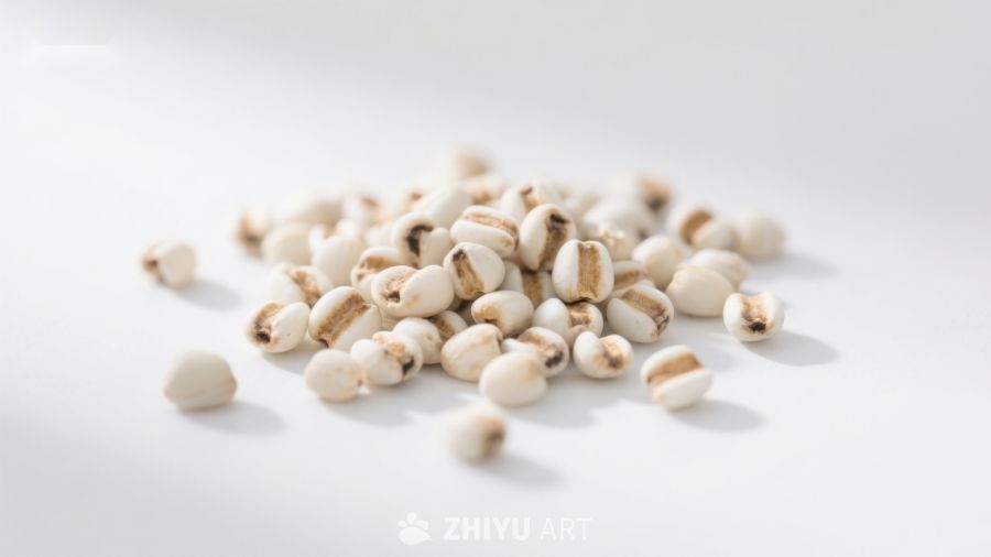 白色谷物散落于明亮背景