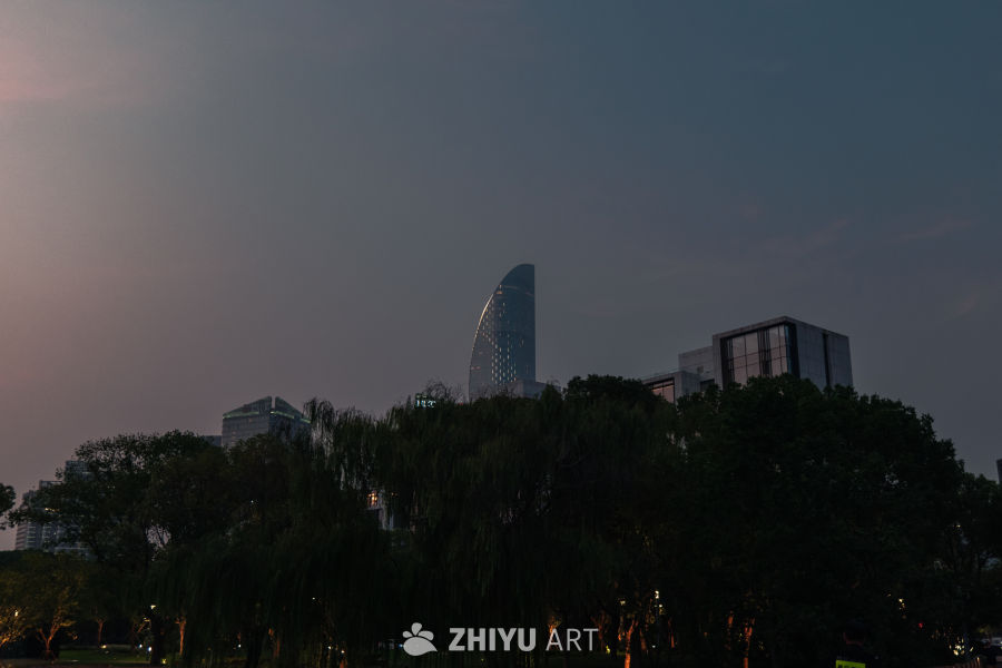 都市夜景：高楼与绿树